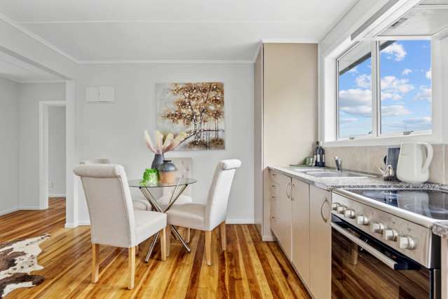 1/2 Esperanto Road Papatoetoe_3