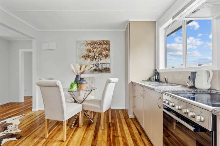 1/2 Esperanto Road Papatoetoe_2