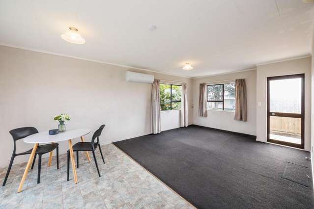 20A Tingey Avenue Feilding_3