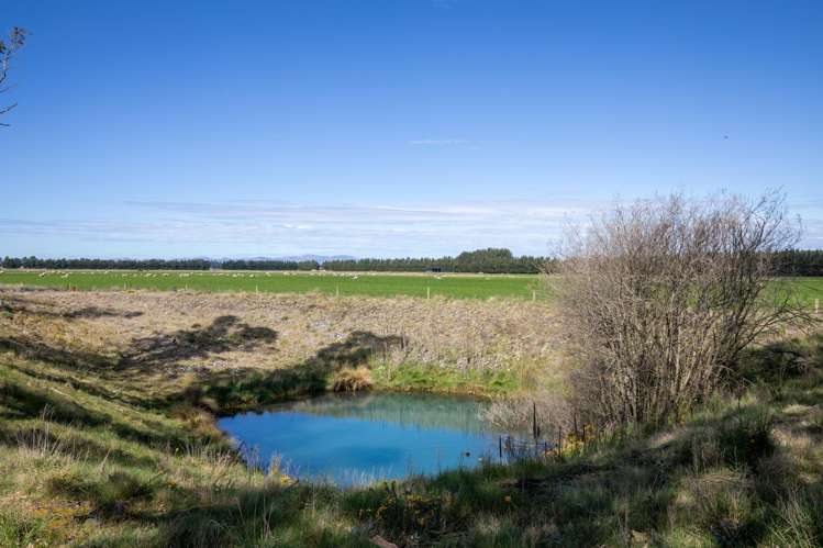 112 Thompsons Road West Melton_5