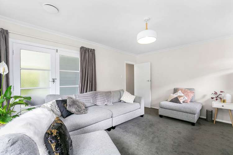 113 Miramar North Road Miramar_6