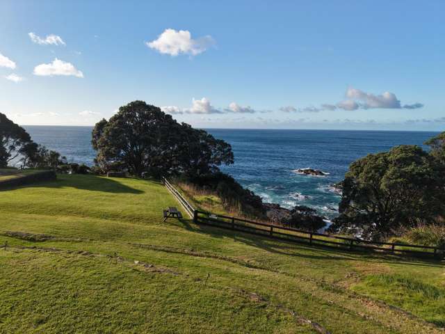 365 Lottin Point Road East Cape_4