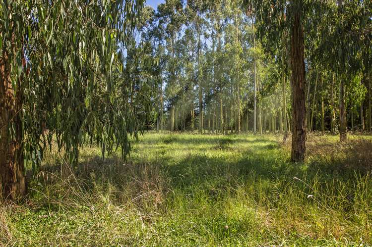 210 Hororata Dunsandel Road Dunsandel_5