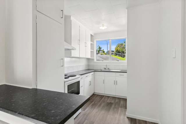 3/8a Hood Place Spotswood_2