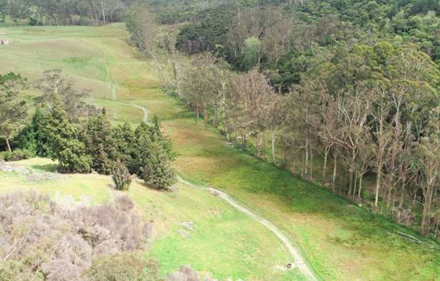 Diggers Valley Road Kaitaia_3