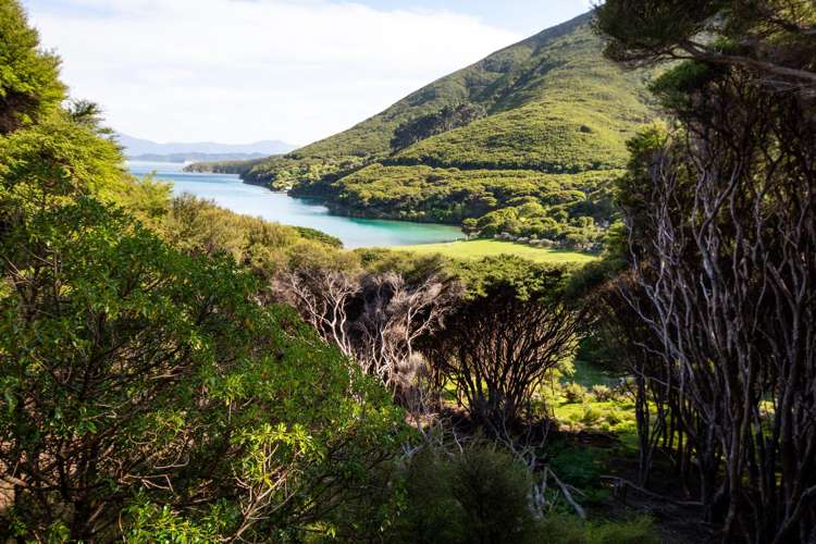 Lot 4 + 5 Te Aroha Bay, Otanerau Bay Marlborough Sounds_27