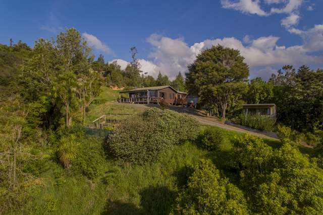 595 Rangihau Road Coroglen_2
