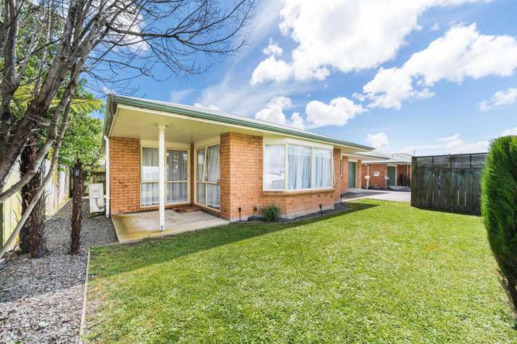 24a Reeve Street Levin_10