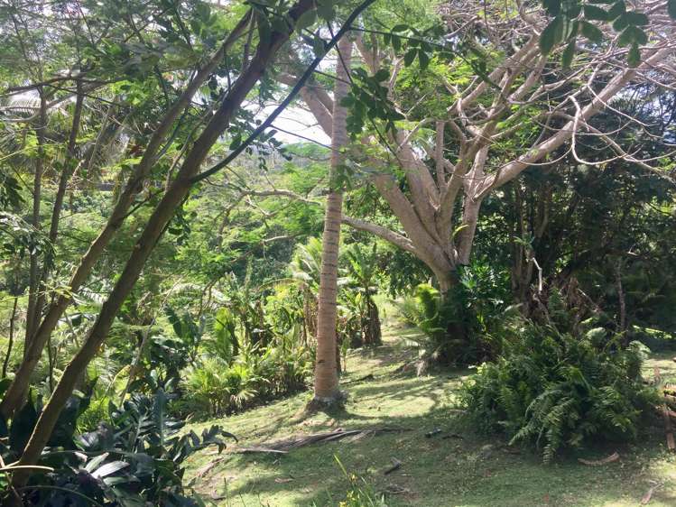 Lot 9 Raintree Estate, Oneva, Savusavu Vanua Levu_13