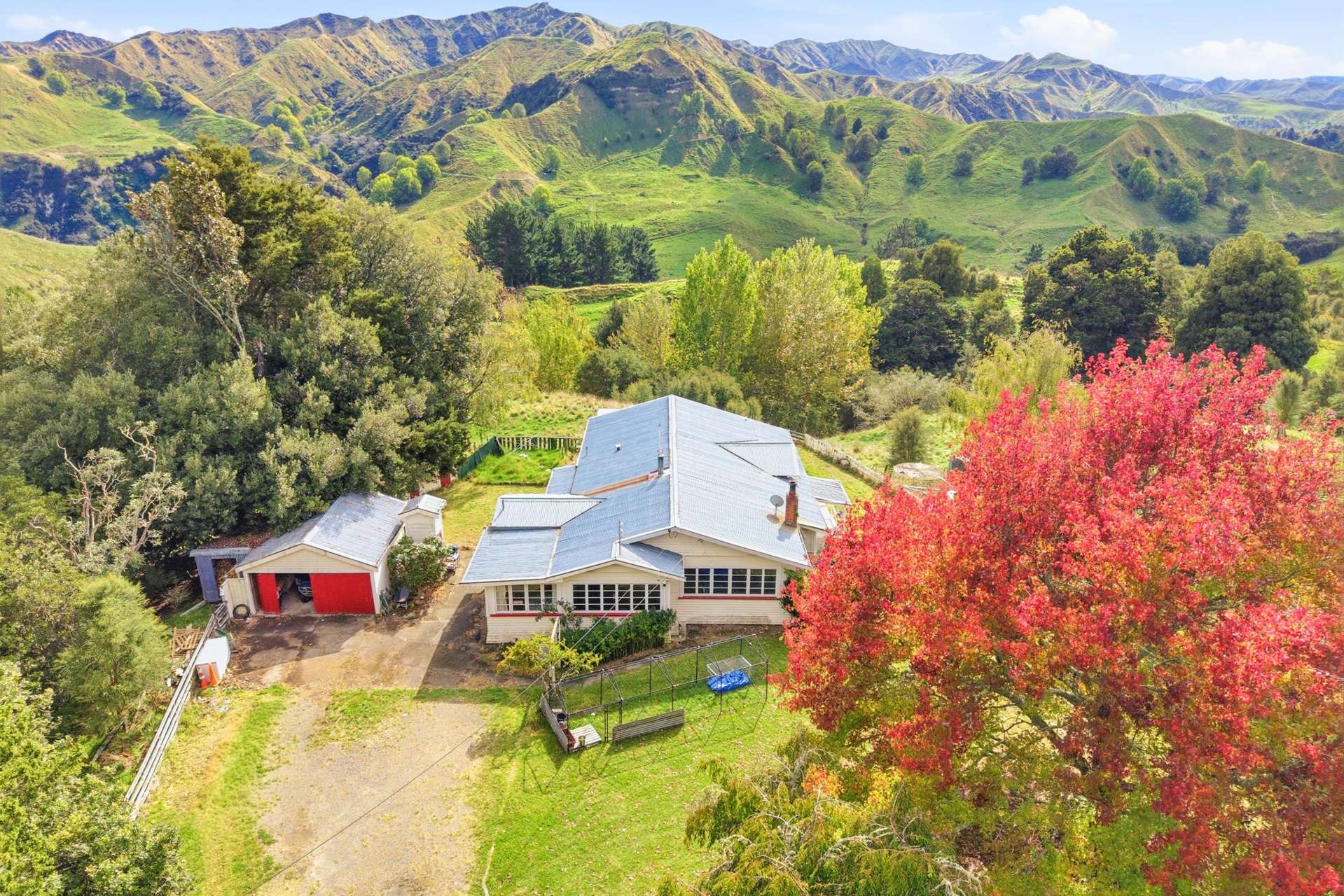 3499 State Highway 4 Kakatahi_0