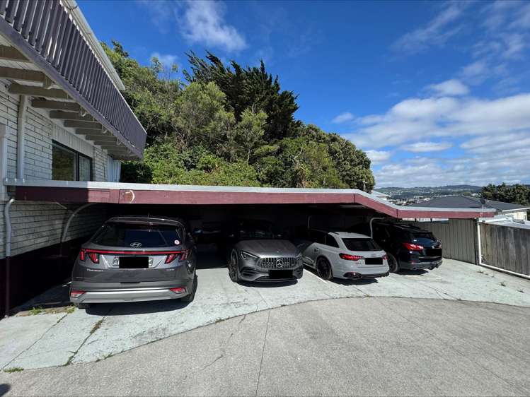 25A Townsend Road Miramar_24