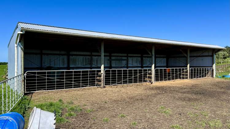 149 Paerewa Road Waverley_11