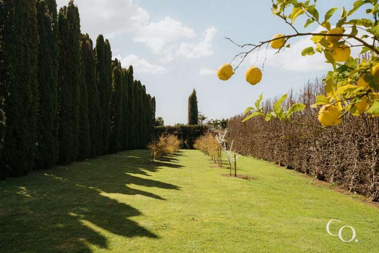 24 Plane Tree Lane Tauriko_33