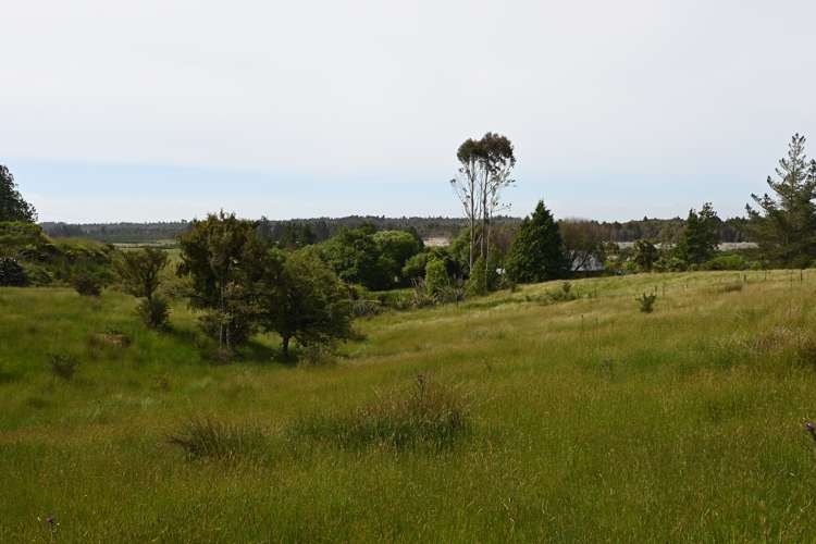 Woodstock-Rimu Road Ruatapu_3