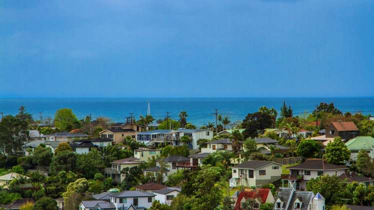 591b East Coast Road Browns Bay_15