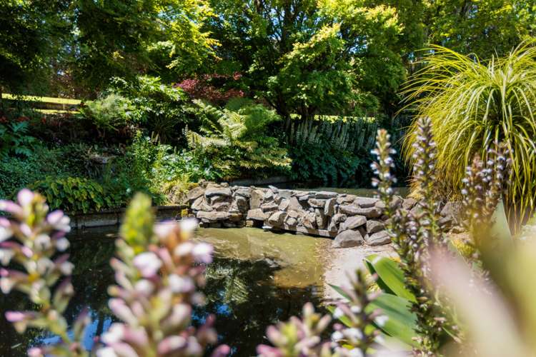 3 Kelston Way Tauriko_17