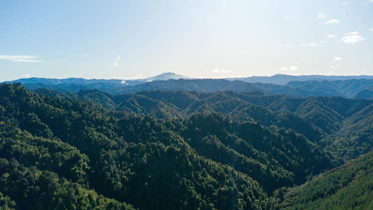 1304 Tokomaru East Road Brunswick_6