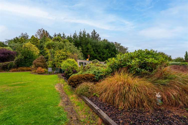 16 Lancaster Street Hampden_17