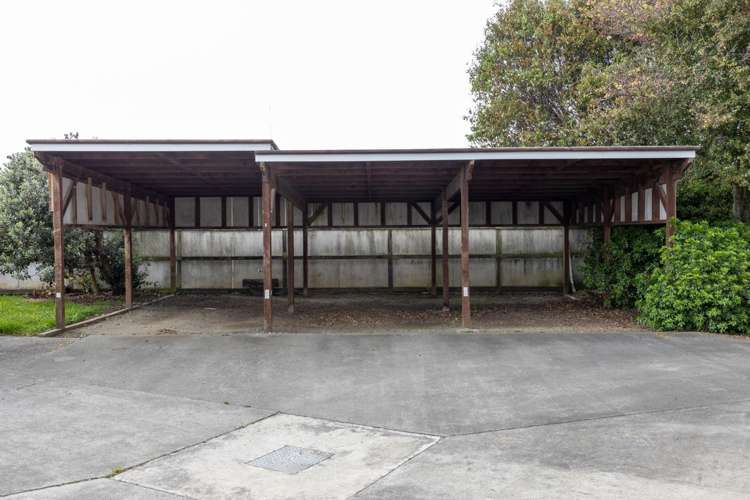 48 Anglesea Street Renwick_11