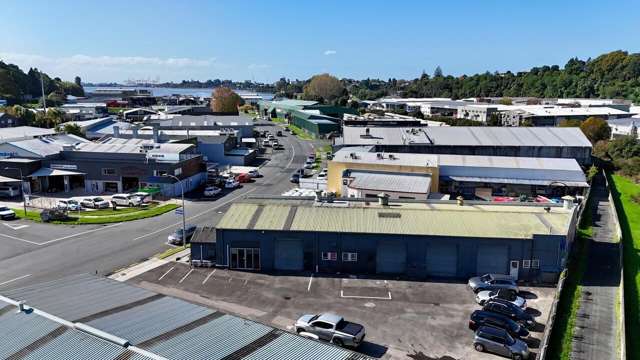 48 Birch Avenue Judea_4