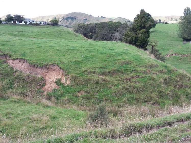 446 Stanley Road Te Popo_20