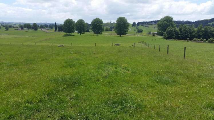 851 Hutchinson Road Morrinsville_18