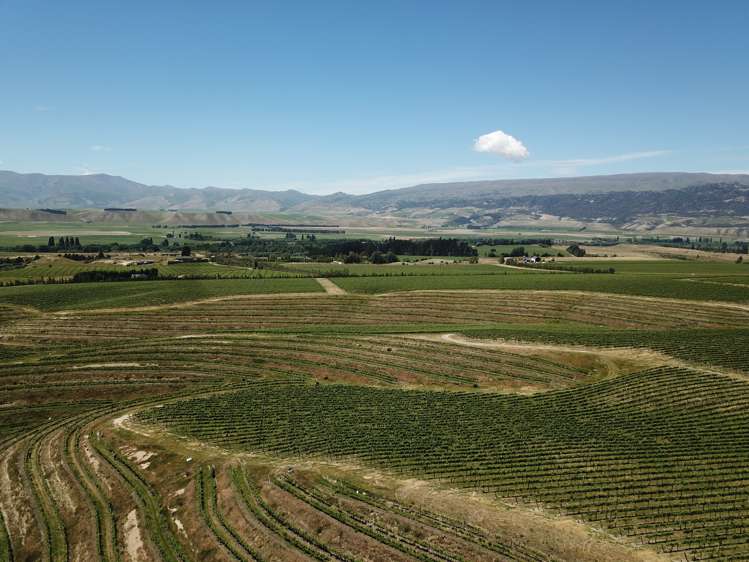 Luggate-Cromwell Road Queensberry_7