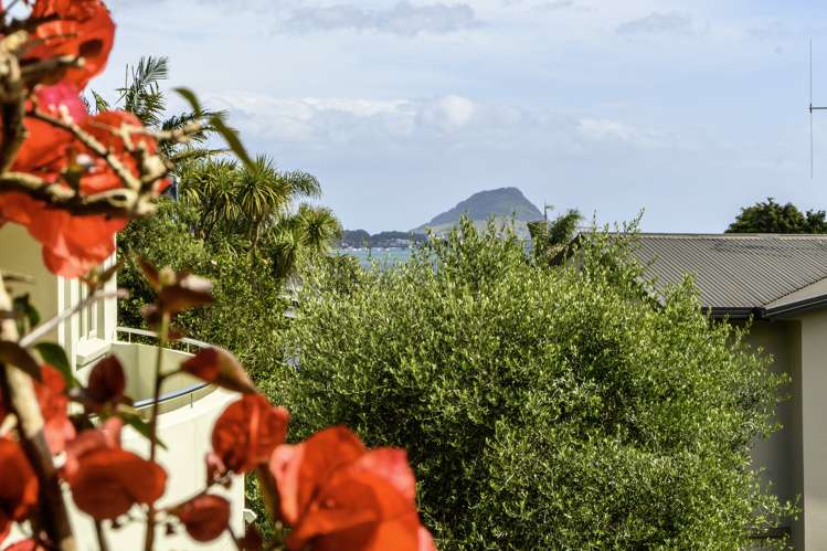 6a Anchorage Grove Maungatapu_1