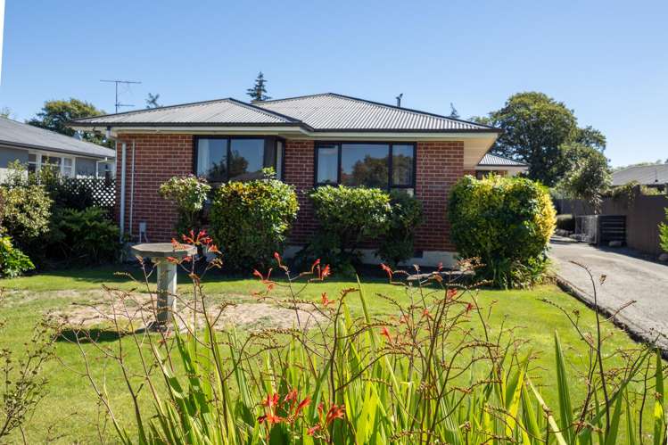 104a George Street Tinwald_1