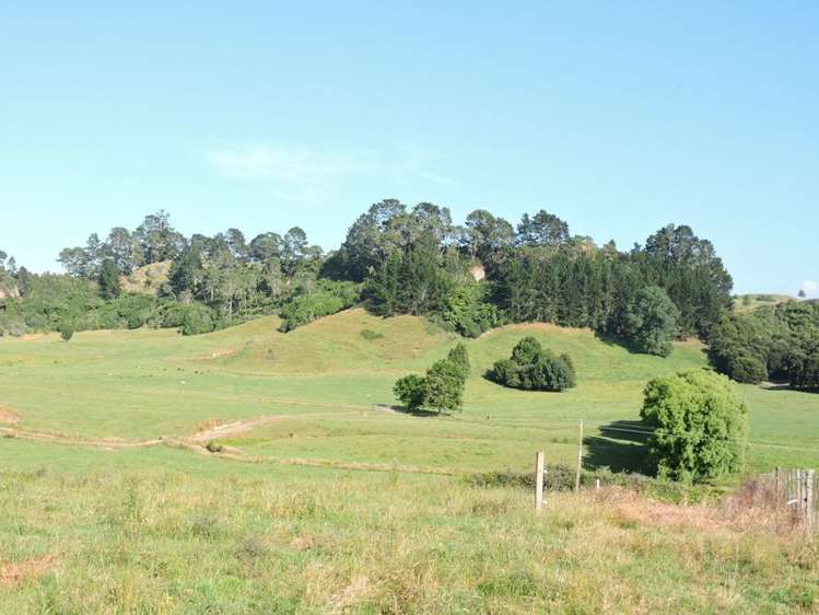 Taotaoroa Road Matamata_2