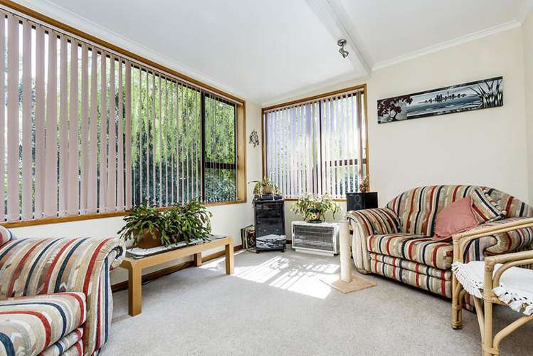 127 Abbotts Hill Road Abbotsford_7