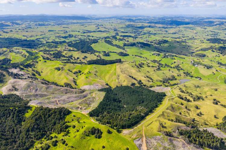 131 Taipuha Road Waiotira_12