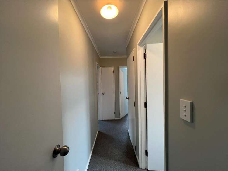 3a Handley Street Gonville_8