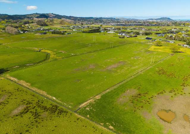 Hansen Road Makauri_4