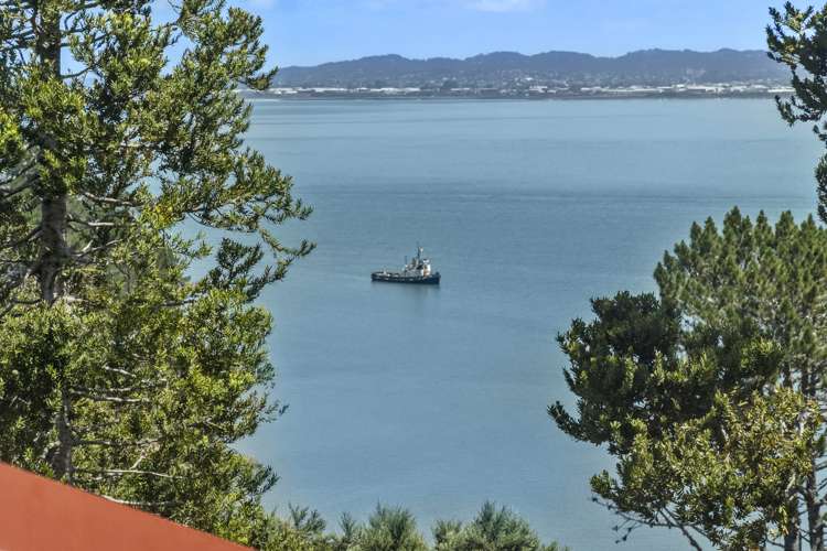 76 Island Bay Road Beach Haven_17