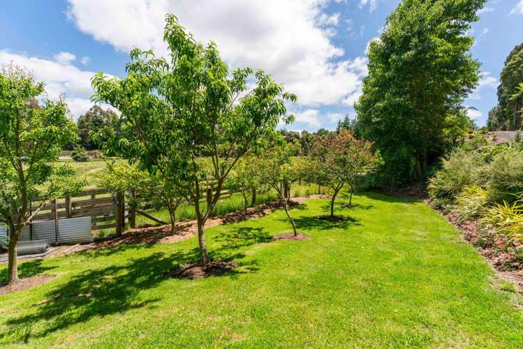 151b Palmer Mill Road Wairakei And Surrounds_38