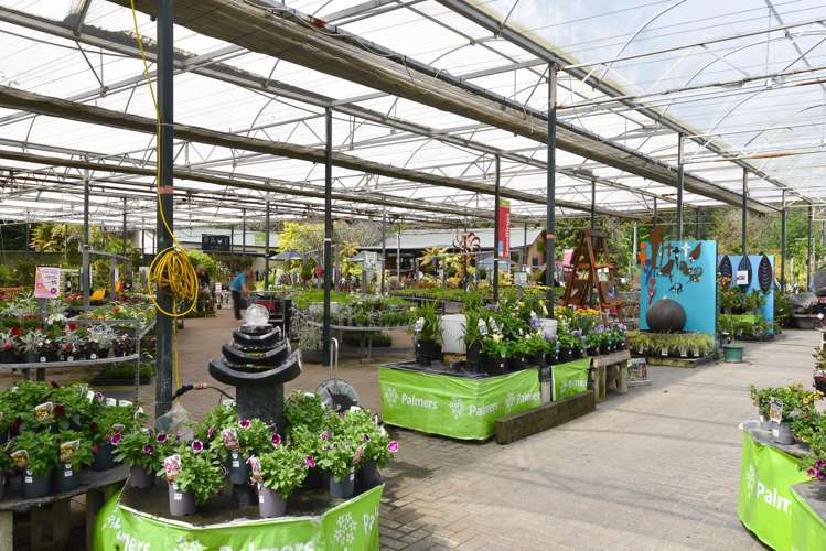 147 Sala Street Fenton Park_8