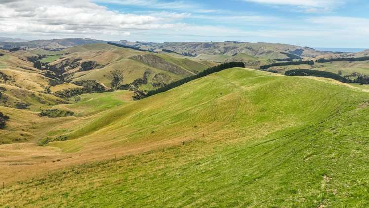 2 Cotswold Road Omihi_7