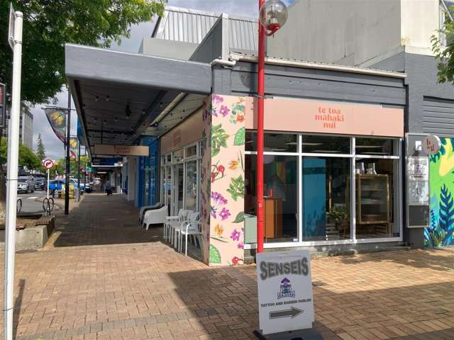 133 Main Street Upper Hutt Central_1