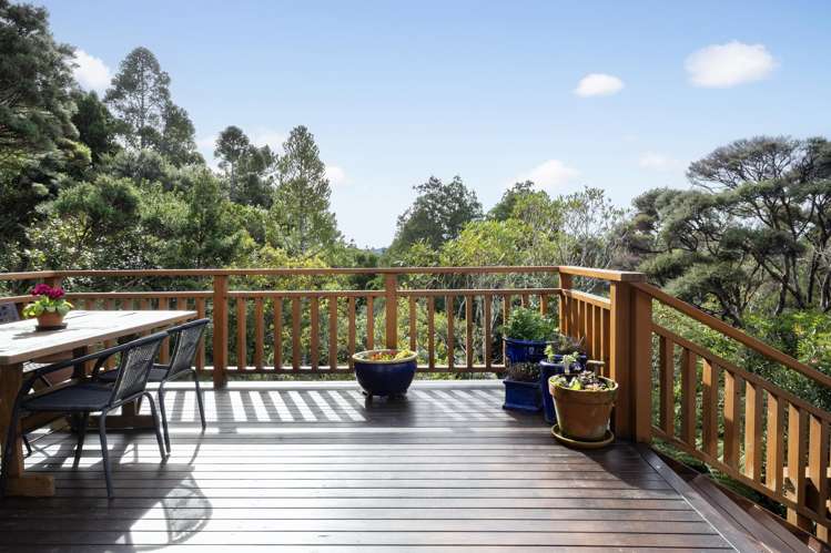 156 Piha Road Piha_12