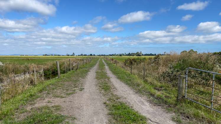 126 Ferry Road Kerepehi_12