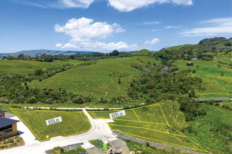 123 Greenslade Road, Waikokowai Lane Raglan_13