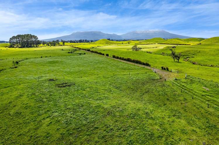 523/593 Warea Road Warea_9