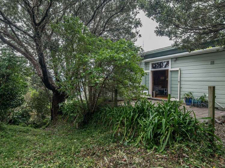 44 Wilberforce Street Miramar_8