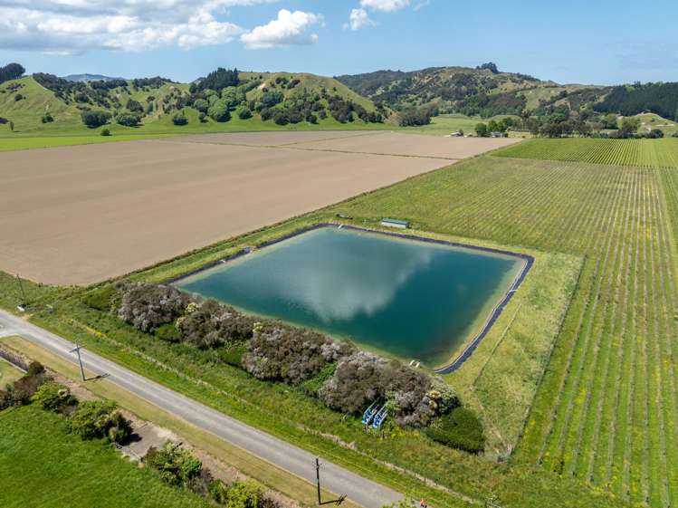 Whitmore Road Ormond_22