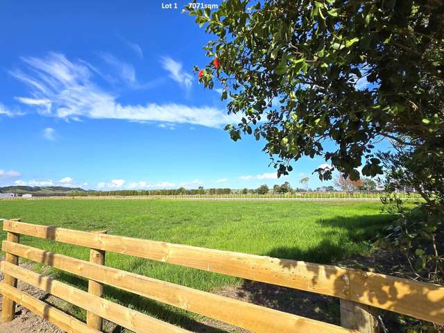 142A and B Awakino Point North Road Dargaville_2
