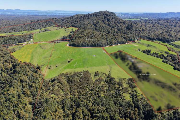 869 and 668 Mangatoi Road_0