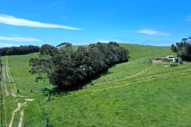 512 Rehutai Road Dargaville Surrounds_3