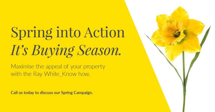 251 Cameron Street Ashburton_16