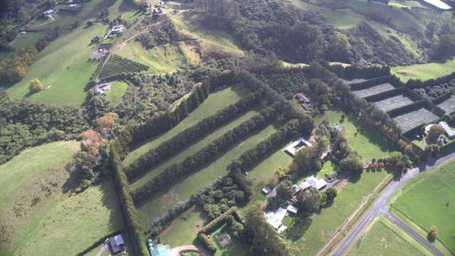 482B Esdaile Road Whakamarama_1